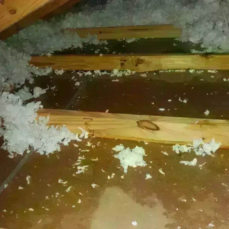 Best Attic Water Damage Service in Sapulpa, OK