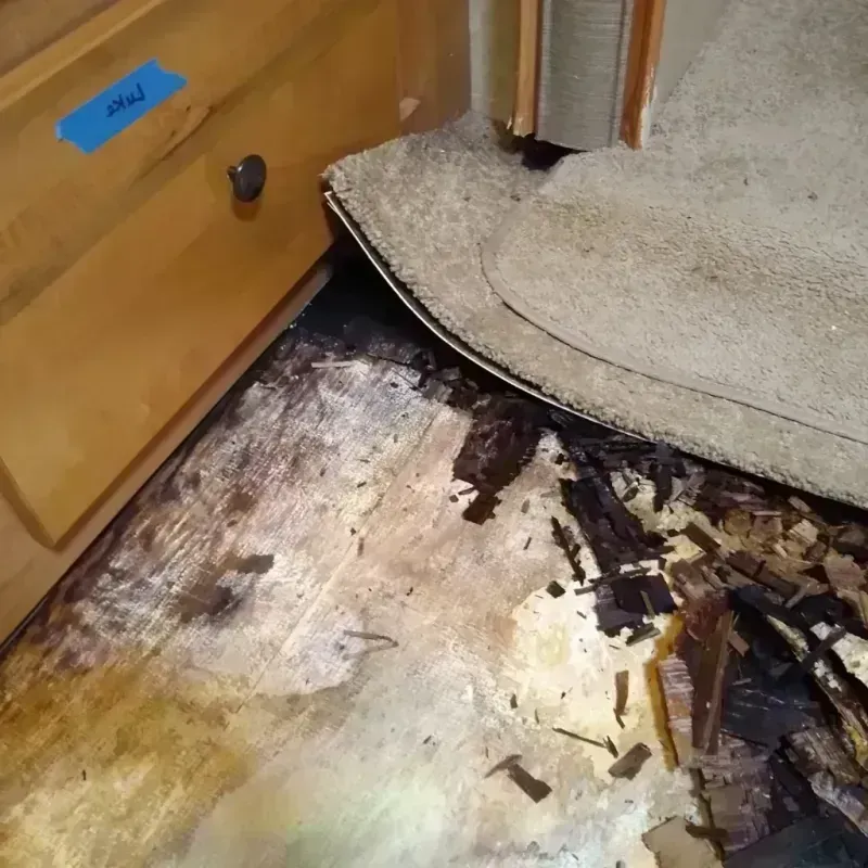 Wood Floor Water Damage in Sapulpa, OK